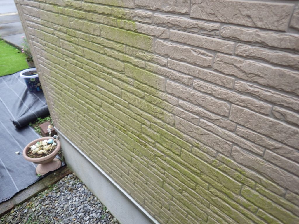 診断　外壁　窯業サイディング　汚染　劣化　苔